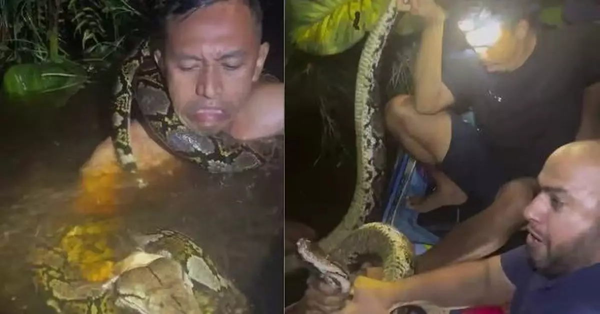乘船徒手捕6米巨蟒 印尼男遭纏頸拖入河 幸獲同伴及時出手奇蹟脫險
