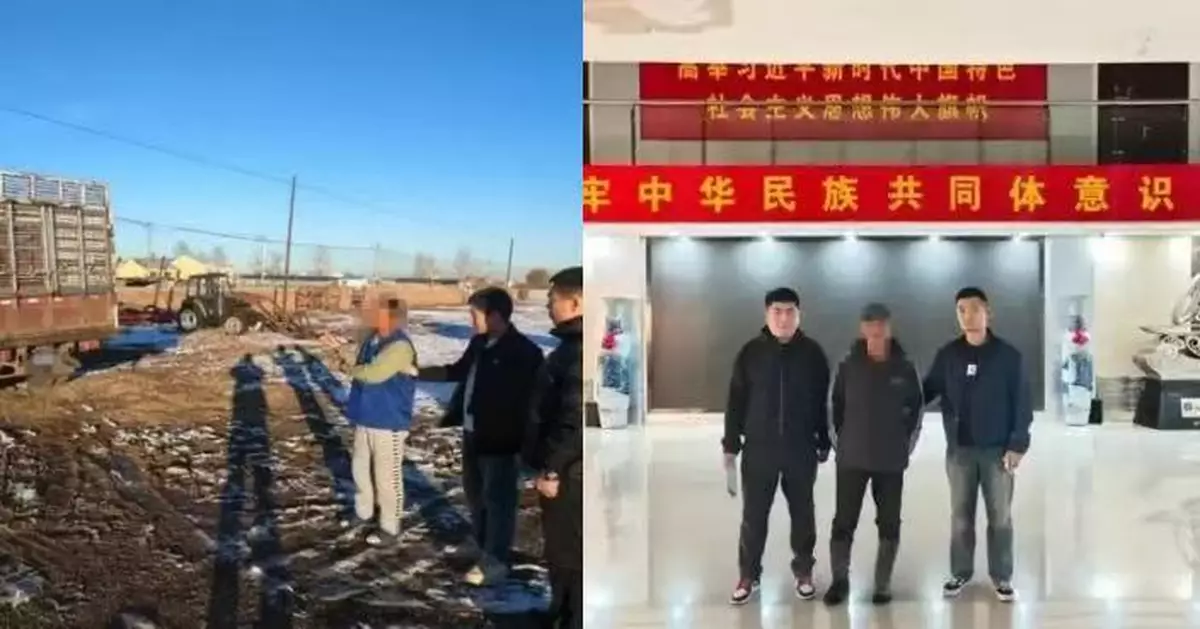 為打賞女主播當「榜一大哥」 內蒙男偷鄰居10隻牛變賣逾7萬下場曝光