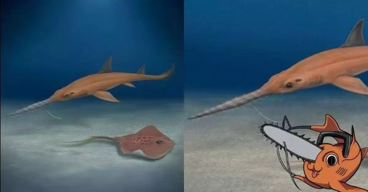智利出土700萬年前化石 撞樣動漫《鏈鋸人》角色得名「波奇塔鋸鯊」