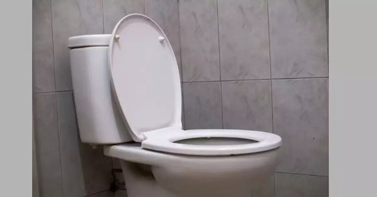 日本羽田機場廁所大癱瘓 逾7成馬桶因故障「無法沖水」