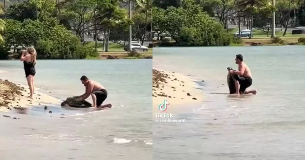 夏威夷海灘強抱海龜擺拍惹眾怒 男遊客或觸當地法例面臨重罰