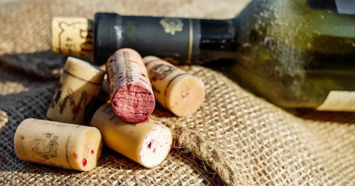 騎車失控墜40米深峽谷 法7旬翁靠剛買紅酒撐足3日奇蹟獲救