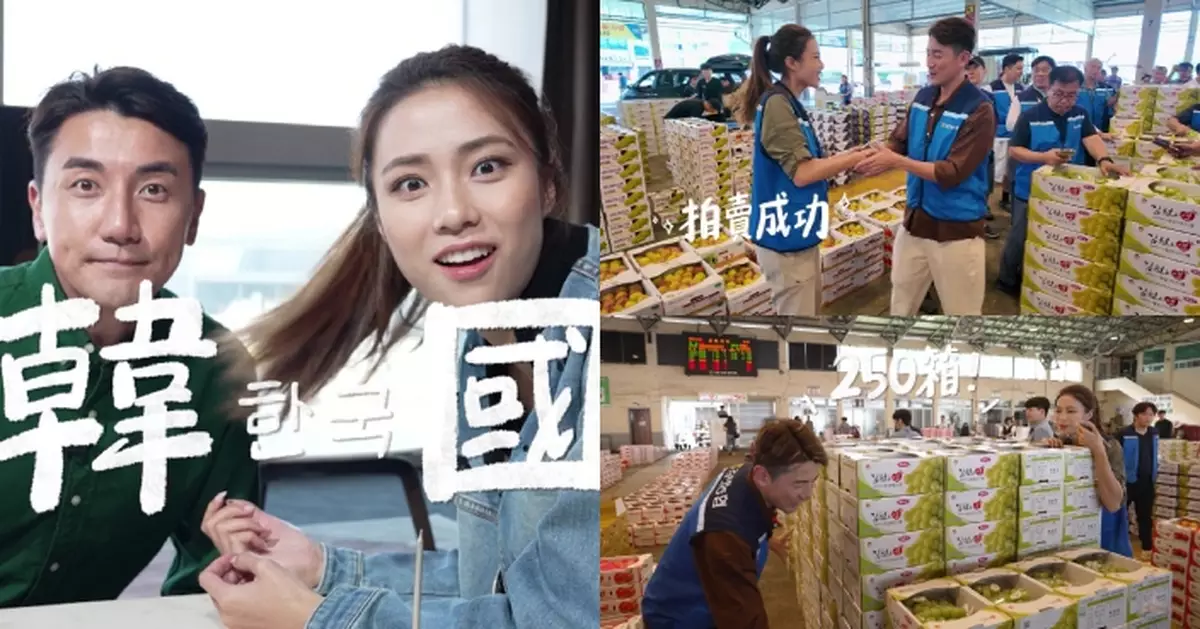 空運世一｜第一站韓國！劉穎鏇首體驗水果拍賣用130蚊港紙投得250箱提子？！