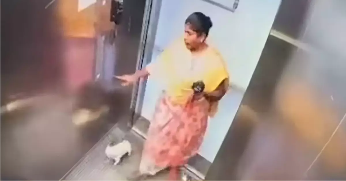 受僱照看狗隻竟嫌吠聲太嘈 印度女傭升降機內摔死小狗惹眾怒