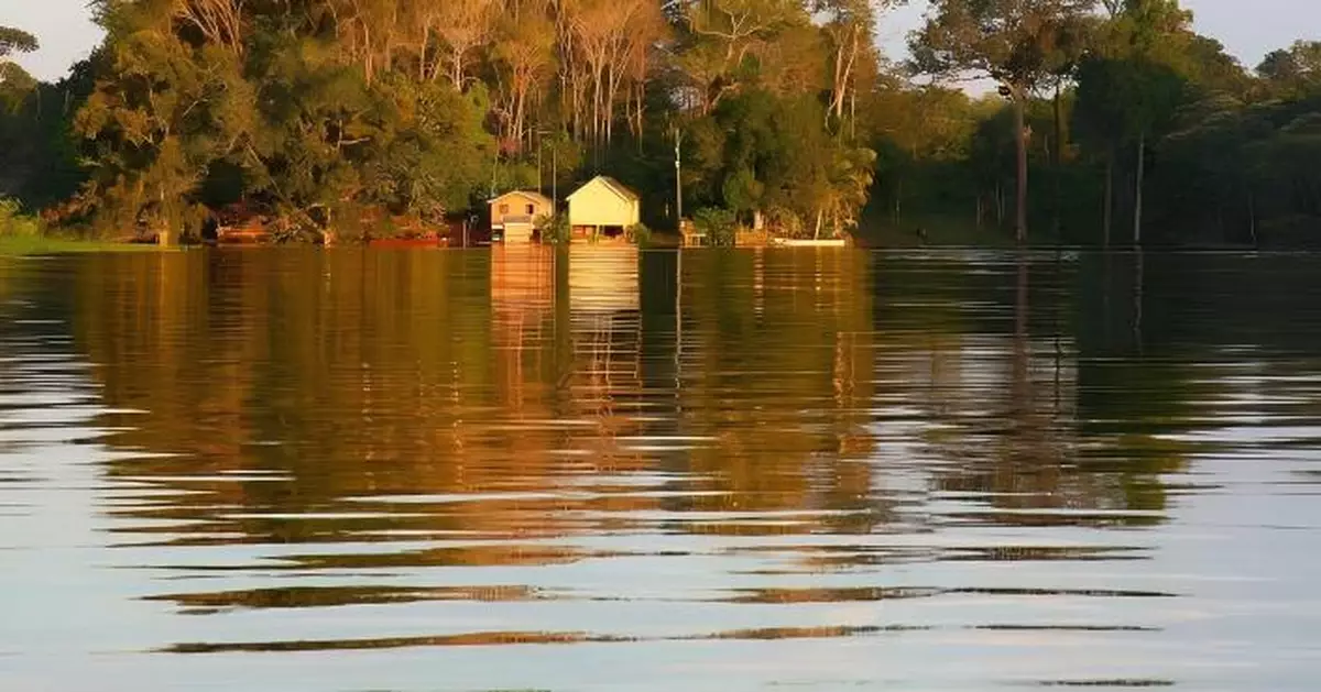 亞馬遜湖水破41度熱過溫泉 逾百隻淡水海豚暴斃傳警訊