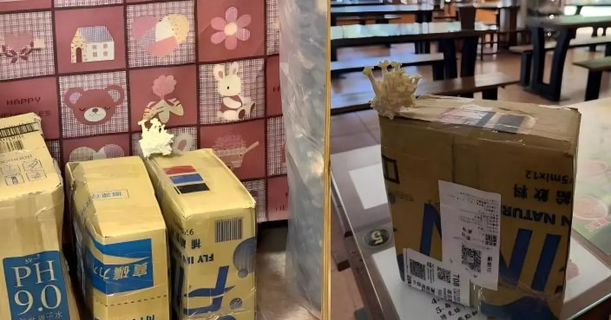 DIY種植包「流浪7日」長出香菇　網笑：生命自己找到出路