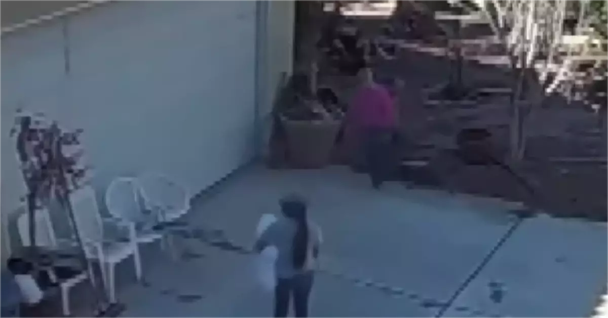 法國花滑名將博娜莉在美遇竊　整個職業生涯獎牌被偷走