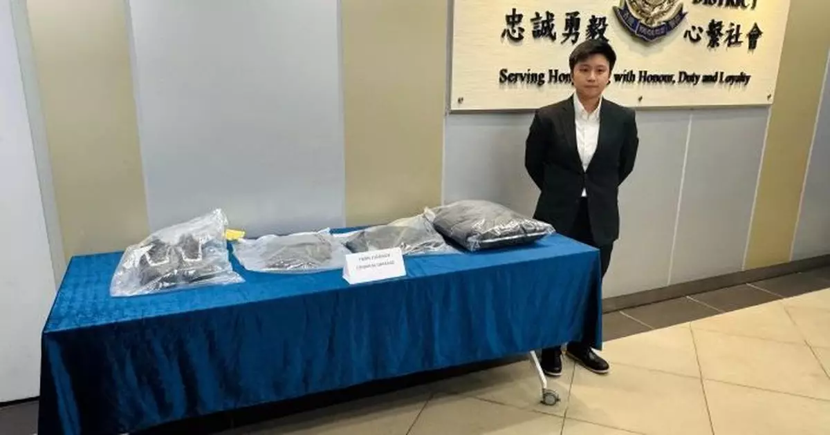 男子屯門區破壞選舉宣傳物   被控刑事毁壞