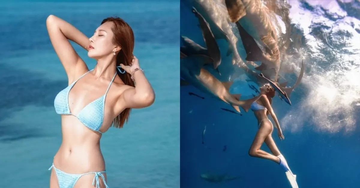 梁允瑜馬爾代夫水著大放送 潛水與群鯊共舞優美又震撼