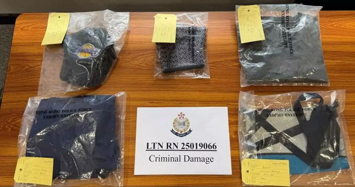 警方愉景灣拘66歲外籍男   涉破壞多張立法會選舉候選人海報