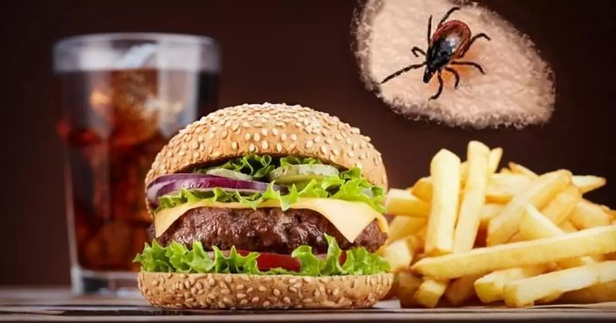 全球首例！美47歲食漢堡數小時後猝死 醫院證實蜱蟲引發紅肉過敏有關