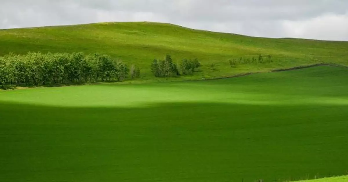 《森林草原防滅火條例》元旦實施