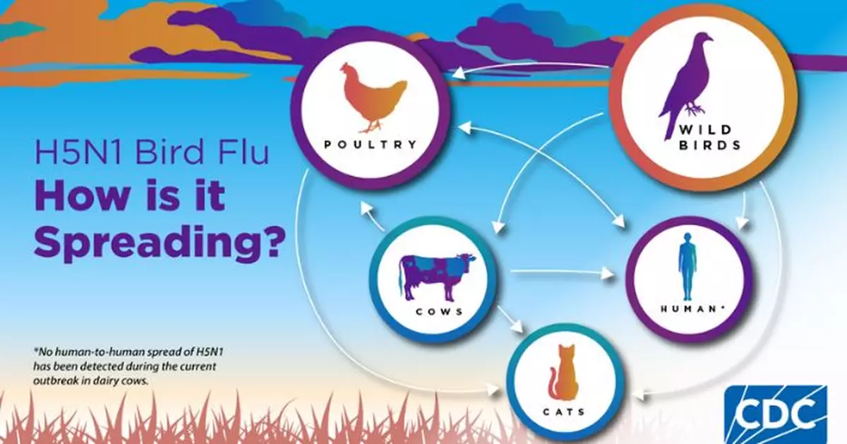 美國出現全球首宗人類H5N5死亡病例 或經家禽野鳥染疫 暫無人傳人證據