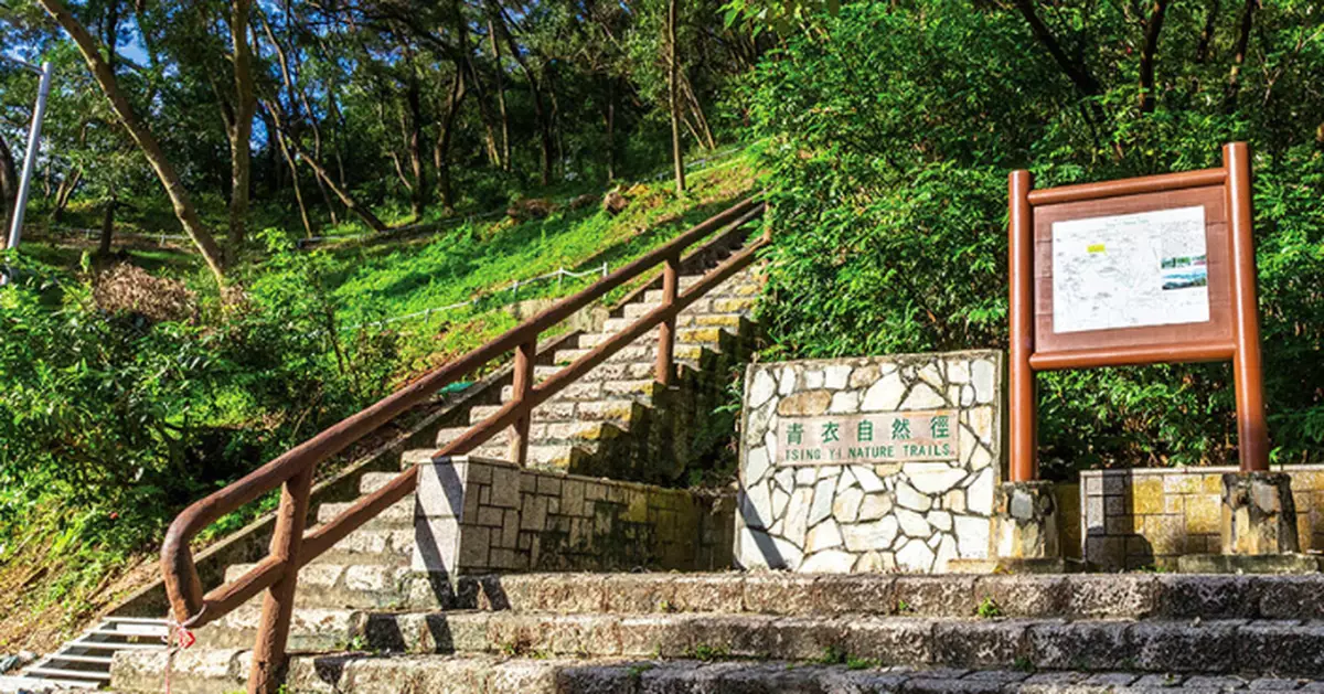 基孔肯雅熱｜新增一宗本地個案 食環署職員青衣參與滅蚊行動後受感染