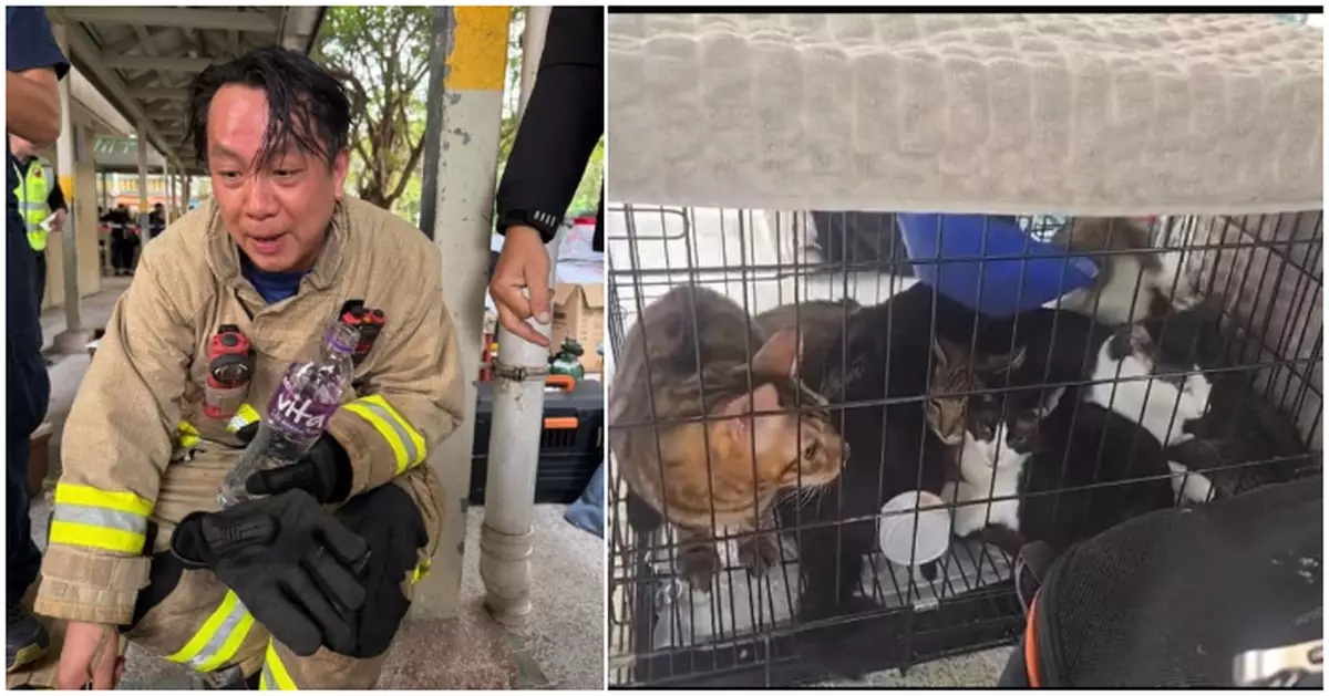 大埔五級火｜英勇消防員救出9貓1狗焗到滿頭汗　網民致敬真英雄：多謝珍惜每一個生命