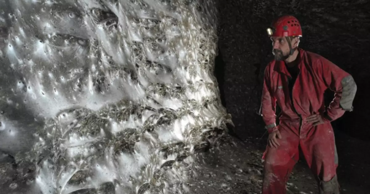 現實版「盤絲洞」現身歐洲！11萬隻蜘蛛在硫磺洞穴築巨網