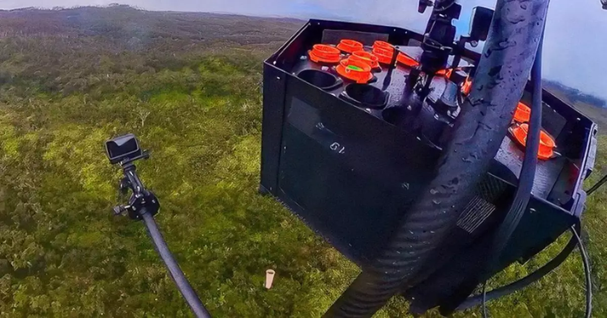 為挽救瀕危鳥類！無人機夏威夷島嶼投放​「絕育雄蚊」保育