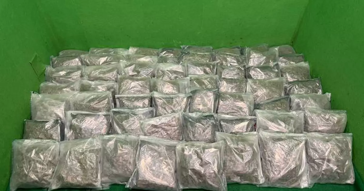 泰國抵港19歲女子行李藏約28公斤懷疑大麻花被捕