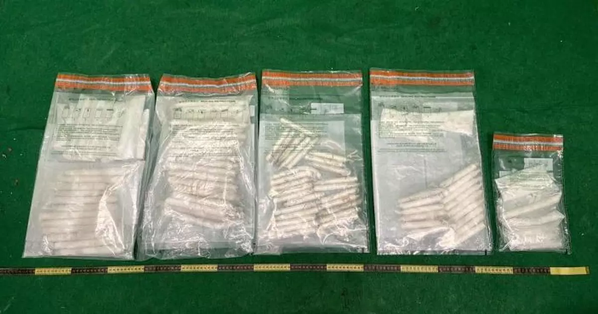 海關抽查阿聯酋抵港空運貨物檢值250萬毒品 20歲收貨男被捕周一提堂