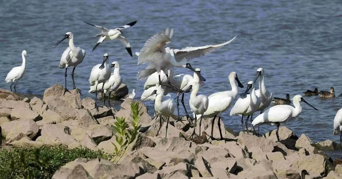 生態區12月生態活動接受報名