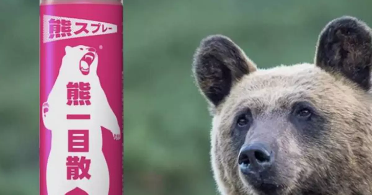 熊襲頻傳催生自衛神器！日企推國產驅熊噴霧   官網開賣即缺貨