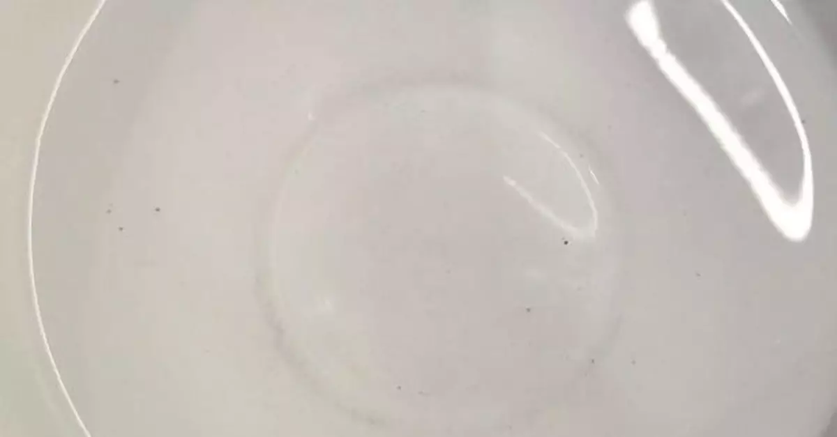 太古城部分單位食水出現黑點　有議員促政府加緊檢視水管改善情況