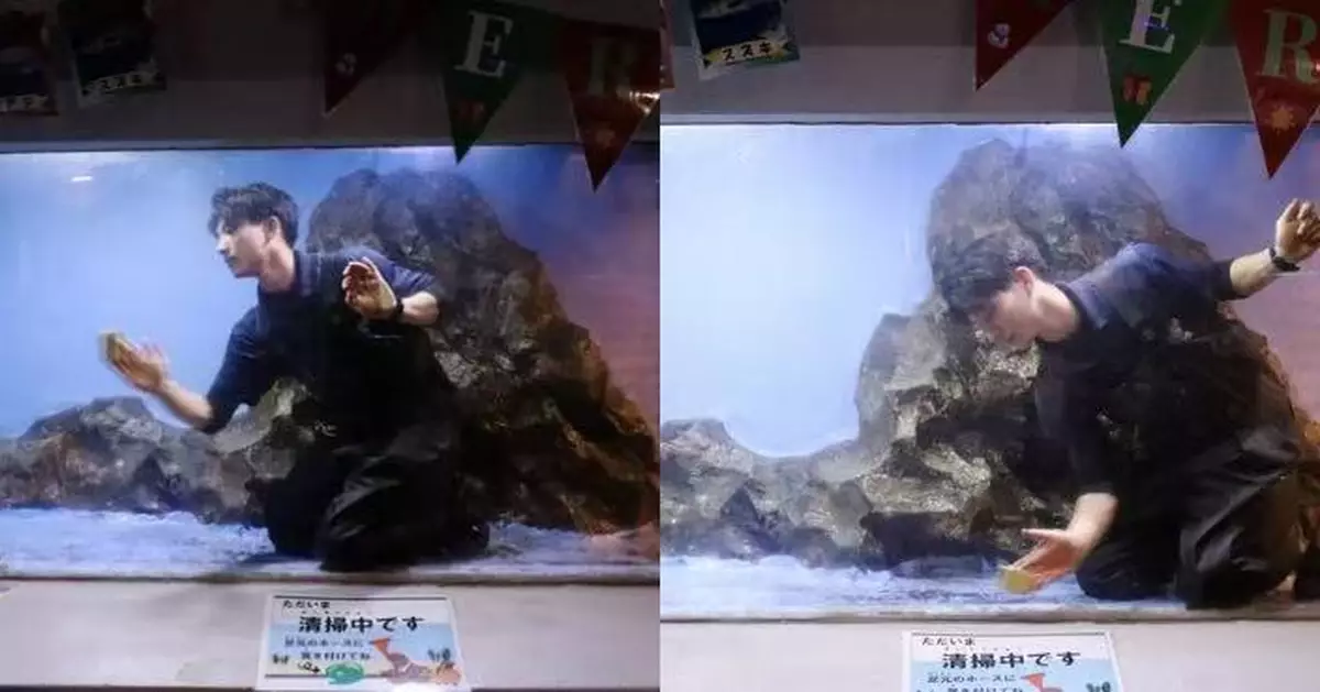 另類宣傳出位！日本水族館曬型男飼育員擦玻璃照 全網跪求出勤時間表！