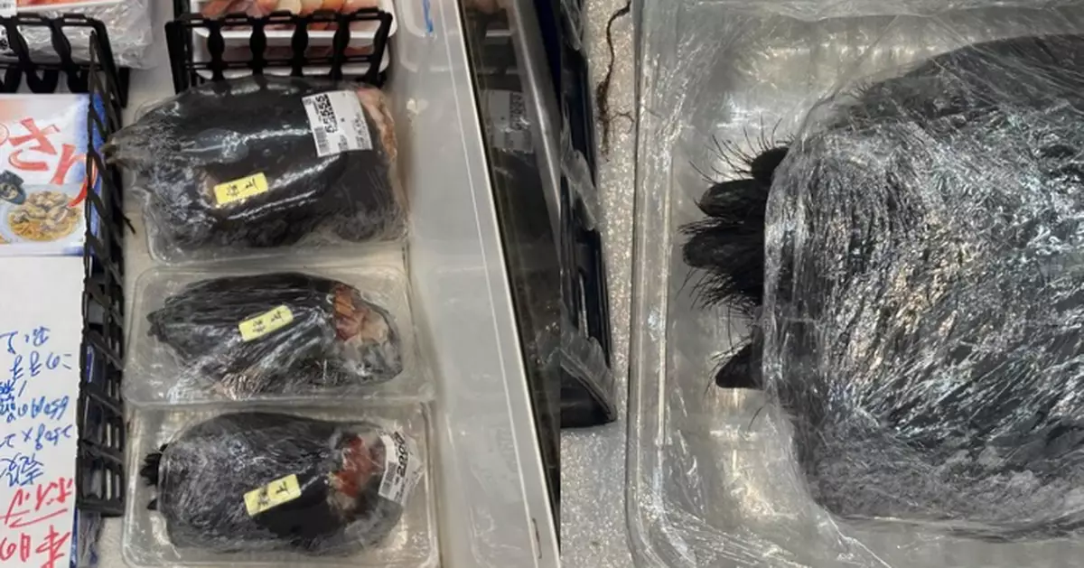 日超市肉品區售「原隻熊掌」 疑未經處理連毛帶指甲掀熱議