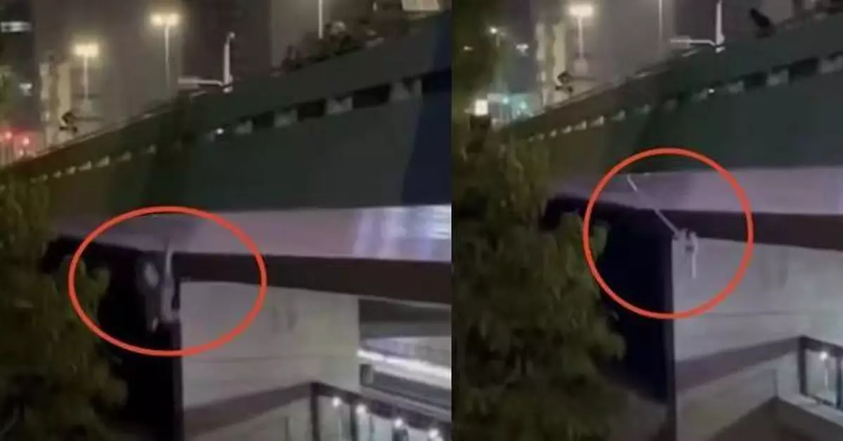 有片！巴西女違禁區挑戰笨豬跳出事 安全繩回彈致頭部猛撞高架橋受傷