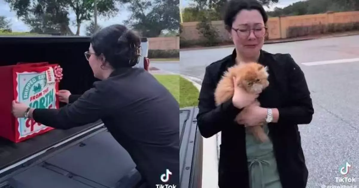 丈夫提前送聖誕禮物 女子打開袋驚見「牠」當場感動爆哭