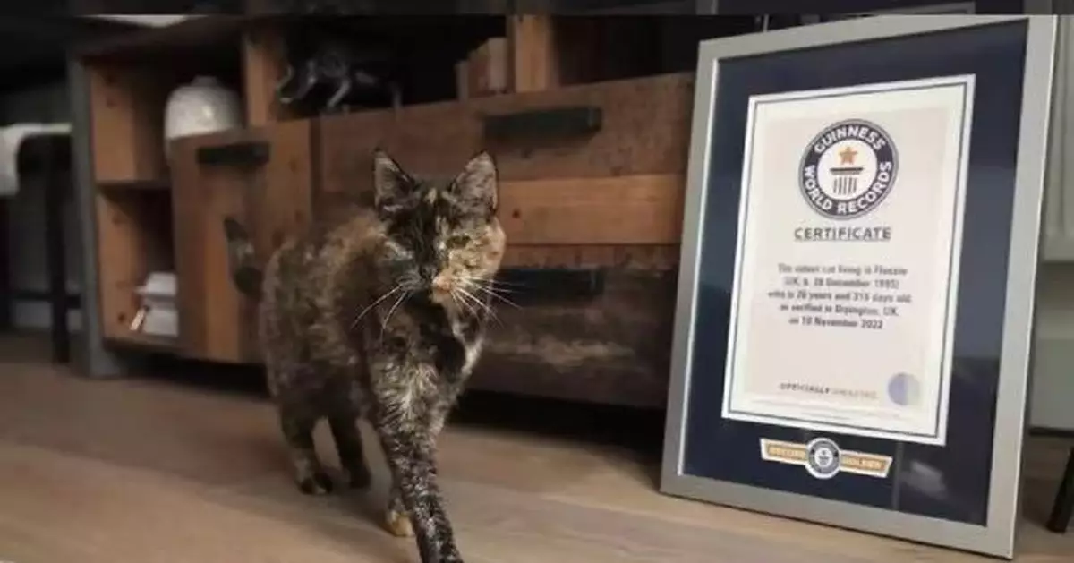 貓齡相當百歲人瑞！全球最年長在世貓貓迎30歲生日