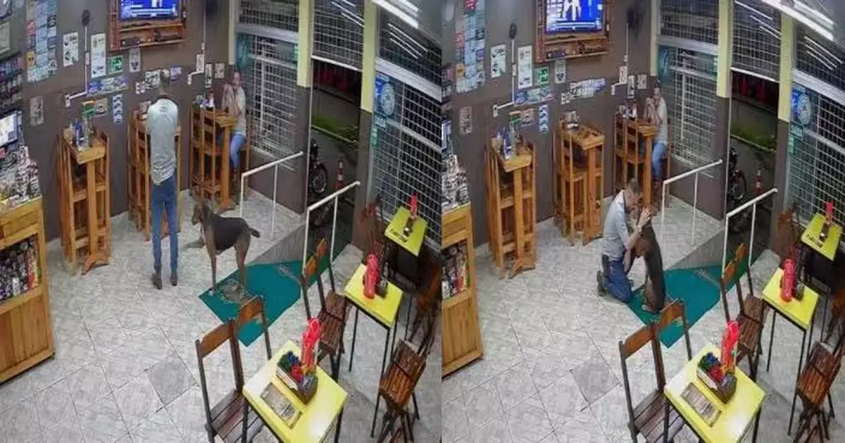 流浪狗深夜光顧咖啡廳疑「求陪伴」 巴西老闆送上溫暖擁抱感動網民