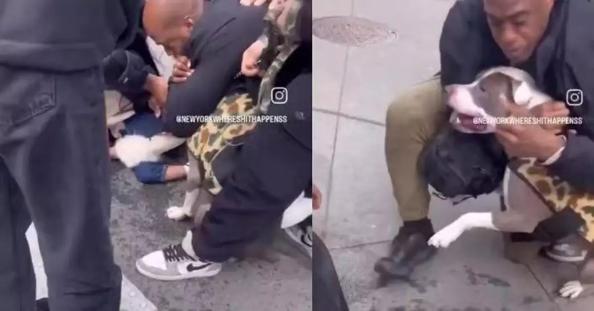 美男童廣場上遭比特犬猛咬腿部現血洞 飼主事後冷漠牽狗離場惹公憤