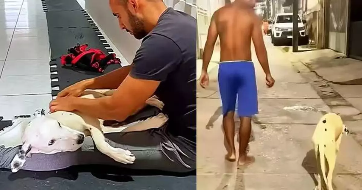 愛犬患病癱瘓 飼主日復一日悉心照料陪復健終助奇蹟再企起