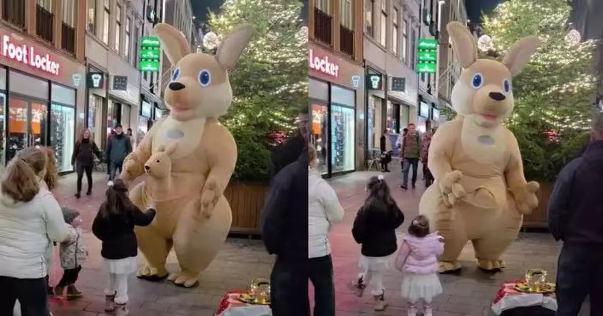 街頭藝人著「袋鼠公仔服」現身德國聖誕市集 口袋1獨特設計引熱議