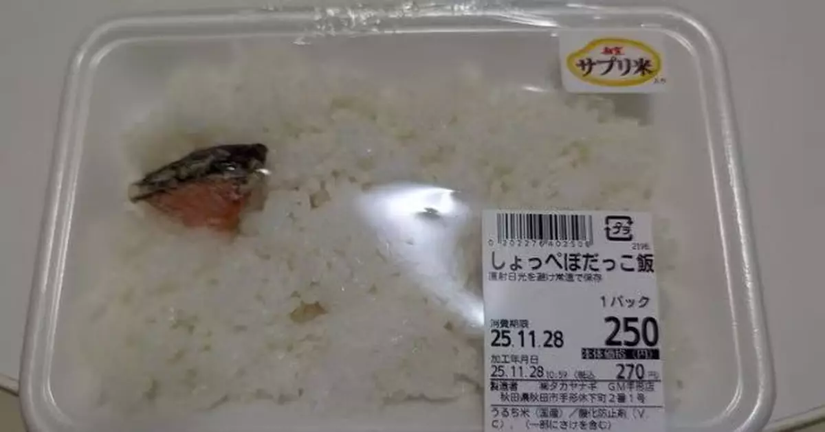 配菜得拇指大三文魚塊 日人親體驗秋田知名便當驚覺：唔夠飯？