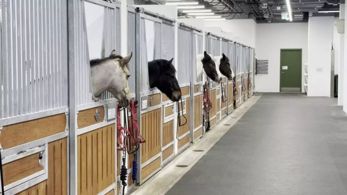 牛潭尾堆肥廠設備超出使用壽命 環保署研更現代化方式處理馬廄廢物