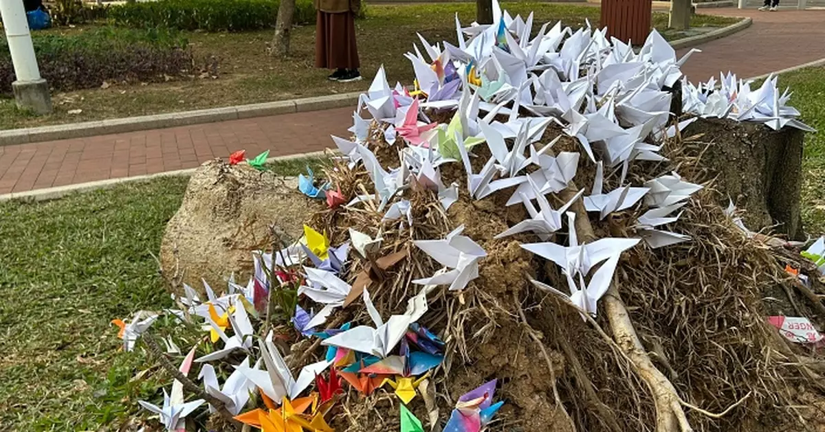 大埔五級火｜六旬婆婆逃生時堅持帶走行動不便八旬老鄰居　深信能齊心逐步走出難關　　