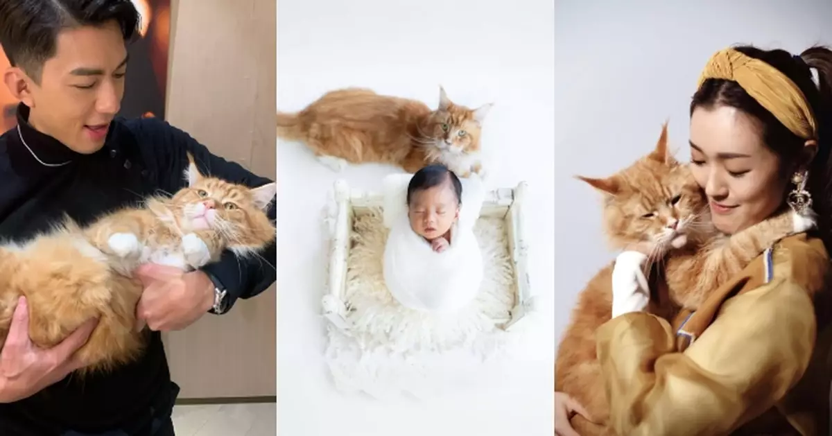 張寶兒袁偉豪愛貓悄然離世 感恩來得及與細仔留下最後合照