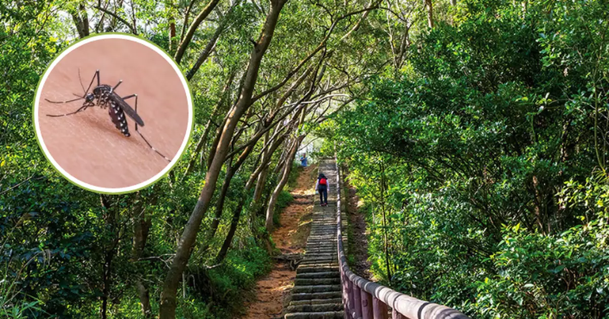 基孔肯雅熱｜再增一宗本地個案 曾到青衣自然徑行山67歲女子染疫