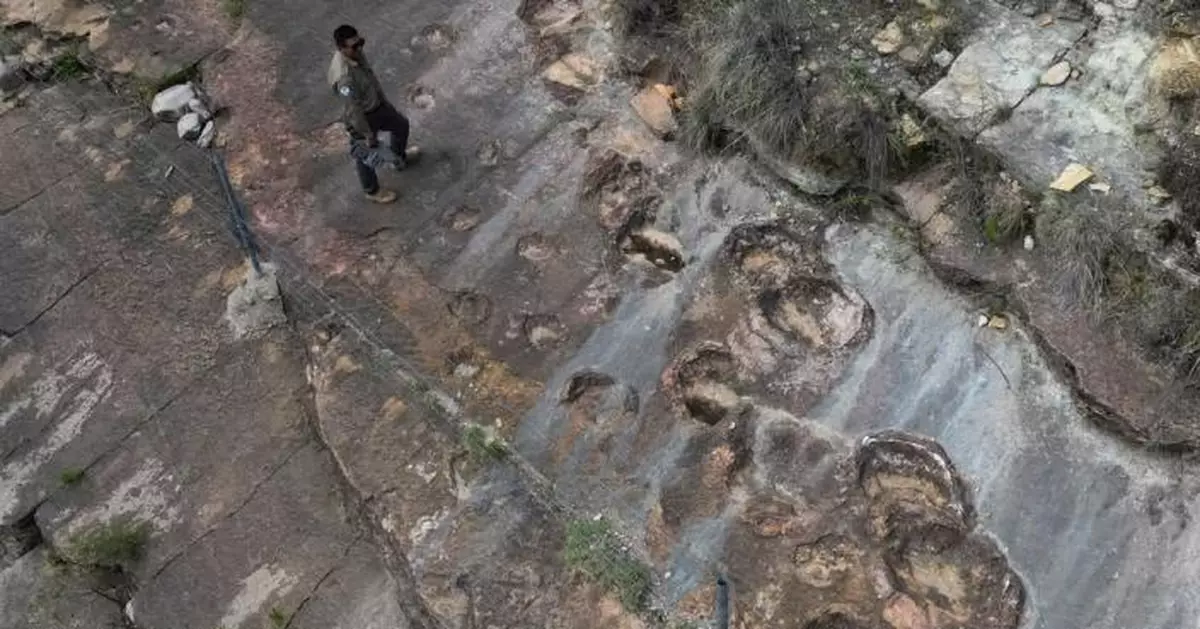 全球最密恐龍印記！ 玻利維亞驚現1.66萬個恐龍足跡 暴龍家族密集行走路線曝光
