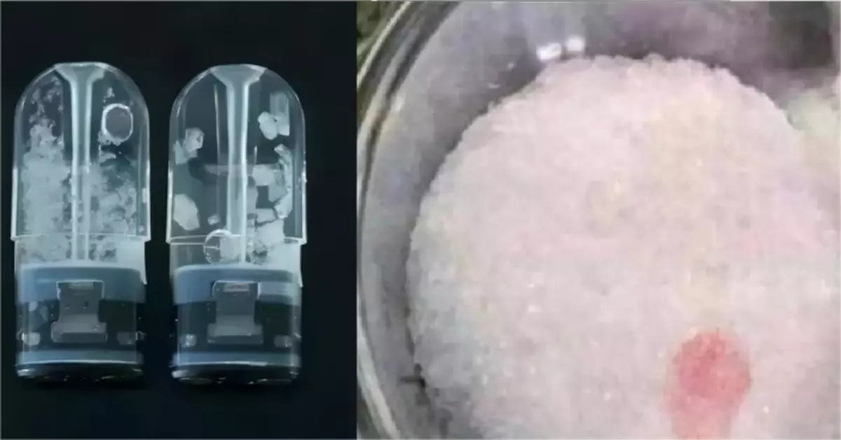 想販毒花36萬買「替代品」拆開竟係味精  內地男因遇詐騙意外逃脫罪罰