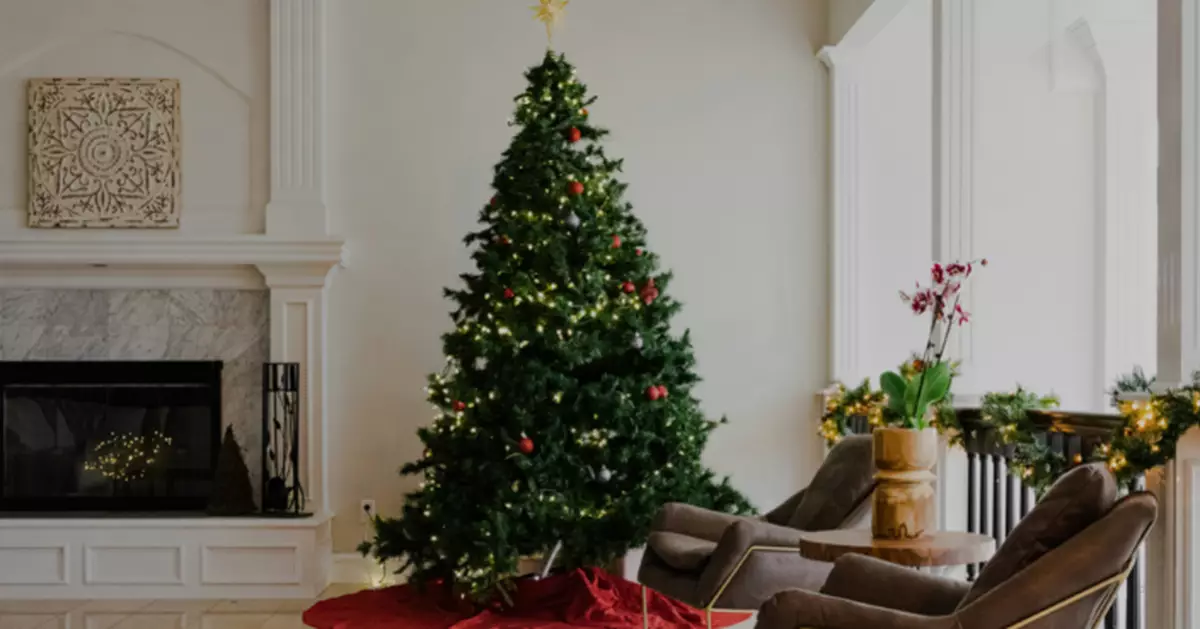 霜害炒高聖誕樹價！捷克重罰逾5600蚊阻私闖森林伐木