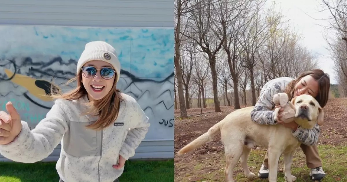 塔斯曼尼亞潮什麼｜梁芷珮「壁畫公園」尋找偶像陳奕迅2007親畫壁畫 與超可愛「松露犬」入林尋寶