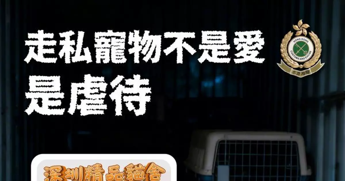 海關呼籲勿助長走私寵物   警告內地購猫狗等同虐待動物