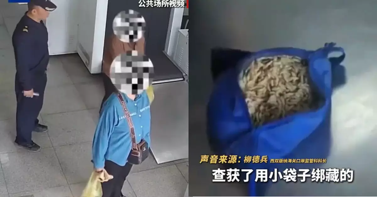 3女旅客腰部凸出行走異常 雲南海關截查驚揭腰藏逾3公斤活蟲