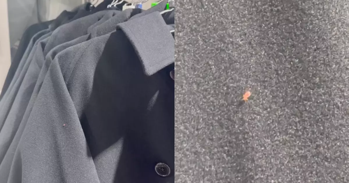 旺角GU貨品驚現紅色怪蟲 真身比床蝨更棘手？店方：已全面檢查並滅蟲！