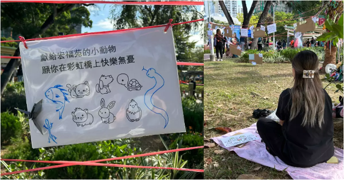 大埔五級火｜家中8貓6隻獲救 主人：感激消防員仔細搜索每個角落