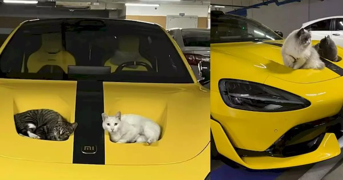 小米SU7 Ultra車頭凹位意外變貓竇 網民笑讚：設計「貓性化」