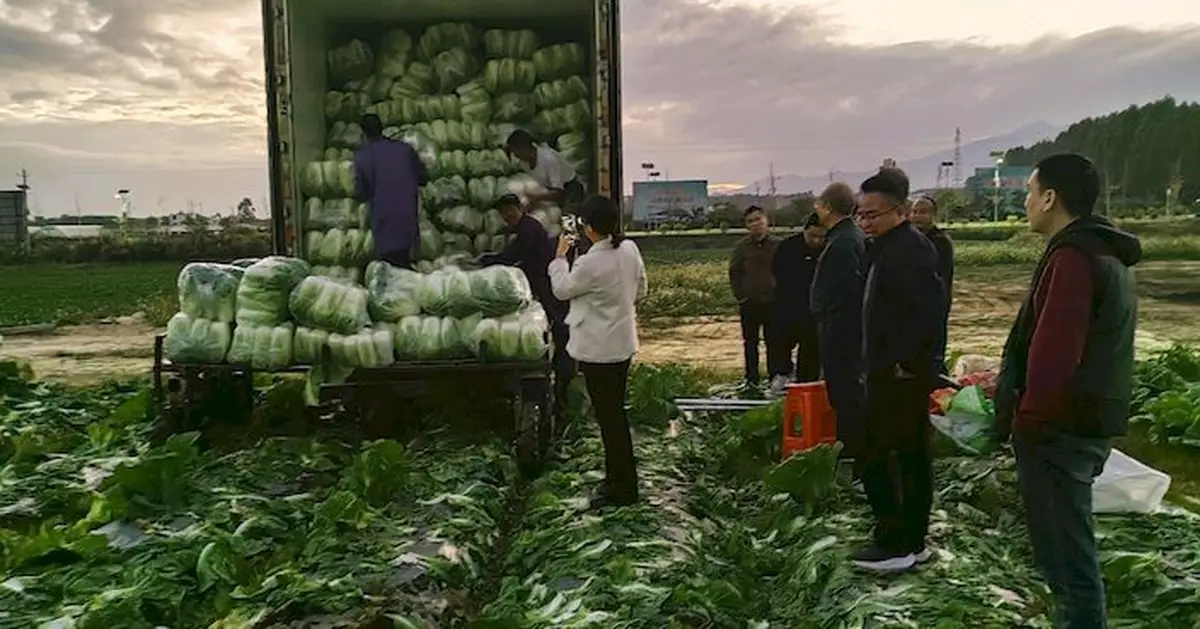食品價格工作小組聯同業界赴湘拓供澳蔬菜貨源